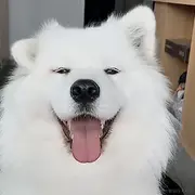 妖魔鬼怪_快离开的个人资料头像