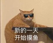 终南山人的个人资料头像
