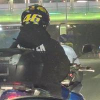 足智多谋苹果6Y6头像