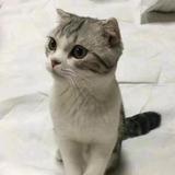 小城故事99头像