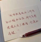 阿呆阿乖的个人资料头像