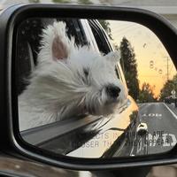 润物泽语日记头像