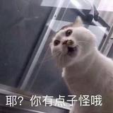 1mJokerOrz头像