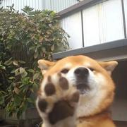 张三木的个人资料头像