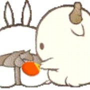 Apollo5761的个人资料头像