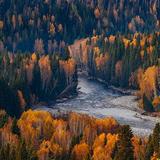 进步安达8t5头像