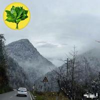 小明同学二手车头像