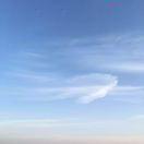 bingo_tsai的个人资料头像