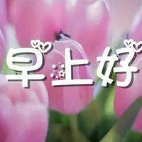 蝎子就是我头像