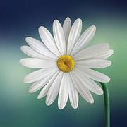 写代码有范儿的个人资料头像