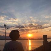 Mosquito头像