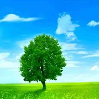 邓安娜ChanNa头像