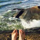 飞天女猪侠的个人资料头像