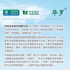 2025年吴绍辉头像