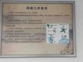糖禾拓头像