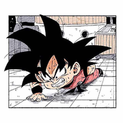 Richard7的个人资料头像