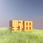 东京日和的个人资料头像