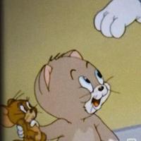 诗意轮船MIq头像