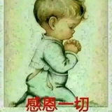 无可奈何花落去65头像