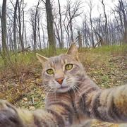 else的个人资料头像