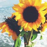 小萬同学 💗头像