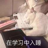 Tayao425头像