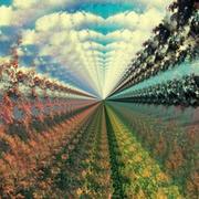 Onor的个人资料头像