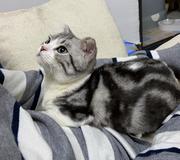 Spoonful的个人资料头像