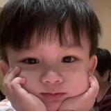 你的小木可头像