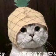 用户5482584517545的个人资料头像