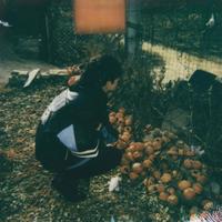 用户7326669199290头像