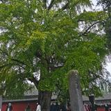 手机用户55814077285头像
