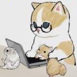 九欢的个人资料头像