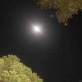 不忘和自己对话头像
