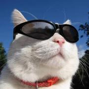 dreamOne的个人资料头像