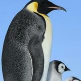 手机用户52242923241头像