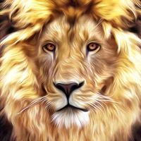 LiOn狮头像
