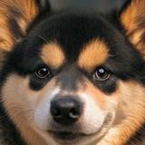 想你了Wwww头像