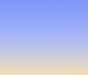 PTMO的个人资料头像