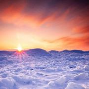 可可西里405的个人资料头像