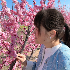 优雅西柚o头像