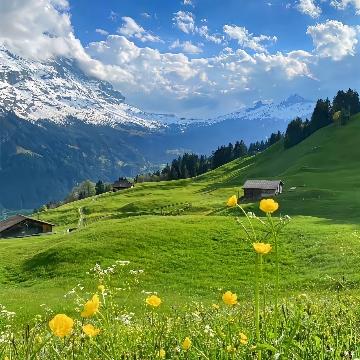 有趣的往事头像