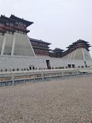 chesijian的个人资料头像