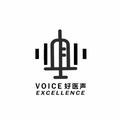 好医声VOICELLENCE头像