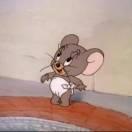 无限循环酱的个人资料头像