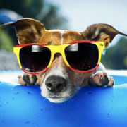 凭栏向谁诉的个人资料头像