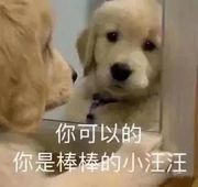 都会过去哟的个人资料头像