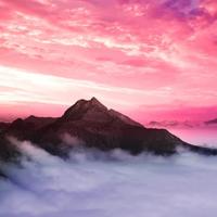庚午565头像