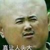 北极星的泪头像