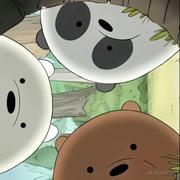 海棠听风的个人资料头像